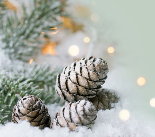 Öffnungszeiten über die Festtage